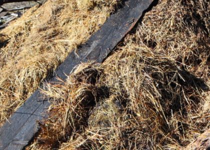 «Телята отказываются кушать то сено, которое не сгорело». Пожар уничтожил и повредил около 7 тонн сена в Воложинском районе 