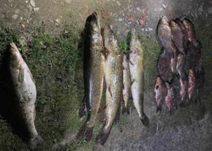 За незаконную добычу рыбы возбуждены уголовные дела в отношении жителей Минской области. В их числе и мядельчанин