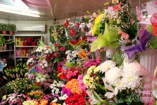 Павильон «Цветы» в Молодечно – остановка городского транспорта «Дворец культуры»