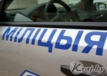 В Воложинском районе женщина украла у соседа 12 бутылок водки