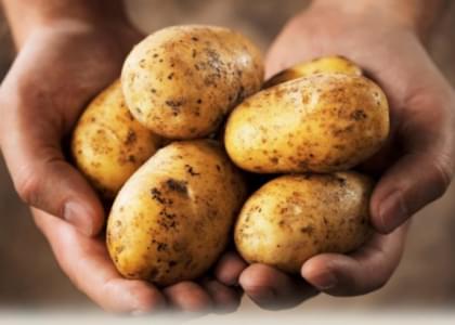 Пенсионерам и инвалидам Мядельского района привезли дешевую картошку из сельского хозяйства православной церкви