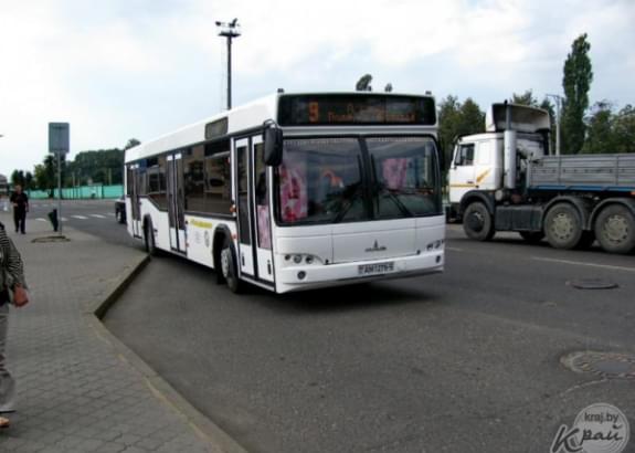 В Островце запустили первый городской маршрутный автобус. Что думают об этом горожане (схема)
