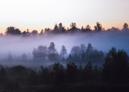 В Беларуси объявлен оранжевый уровень опасности из-за тумана