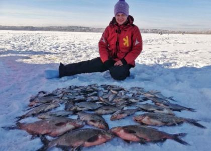 Посмотрели февральские рыбацкие трофеи на Вилейщине, Браславщине и Мядельщине и нашли солидные уловы