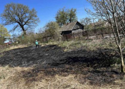 В Молодечненском районе горел лес и трава в четырех деревнях 