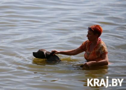 Узнали разрешенные места купания в Молодечненском и Вилейском районах и соблюдают ли люди правила