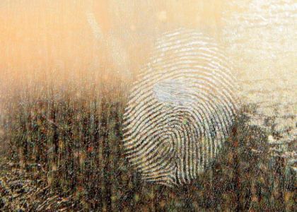 Житель Браславского района украл у односельчанина икону. Похитителя обнаружили по отпечаткам пальцев