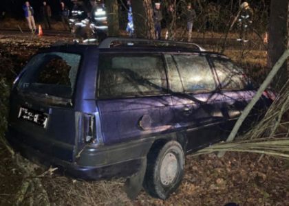 В Глубокском районе погибла женщина-водитель – врезалась в дерево