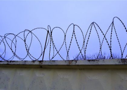 Вилейчанин наловил рыбы почти на 7 000 рублей и теперь может поехать в колонию на четыре года