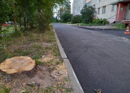 У жителей Вилейки во дворе по улице Гагарина появился новый асфальт, но исчезла ива