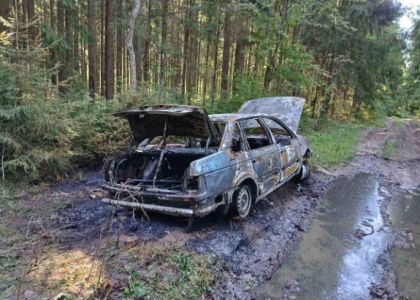 Угнанный у жителя Борисова автомобиль нашли сгоревшим в лесу возле Докшиц 