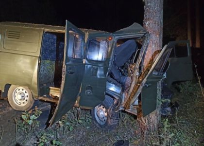 Лишенный прав водитель на «буханке» врезался в дерево в Мядельском районе – пострадали его сыновья, которым 14 и 15 лет 