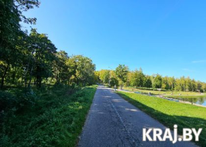 Две стороны жизни Молодечно: с одной – красота, напротив – бурьян   