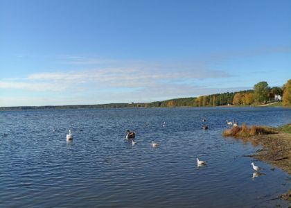 Золотая осень на берегах озера Нарочь 