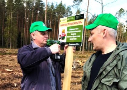 Павел Губко сажает деревья и работает с шуруповертом не хуже, чем руководит Молодечненским районом – лес сажали на субботнике под Молодечно  