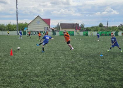 В Молодечно юные футболисты-любители из нескольких районов Минской области играют за выход в финал 