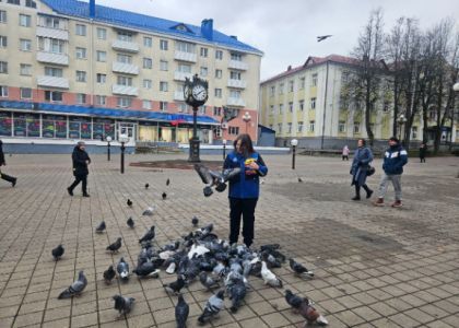 Молодечно - город счастливых людей. Пообщались с горожанами, узнали, что их тревожит 