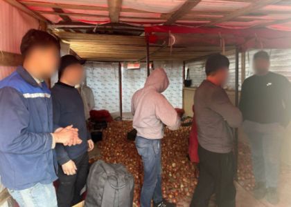 В деревне Таборы  Минского района задержаны 7 иностранцев, которые сортировали овощи, хотя должны были работать в такси  