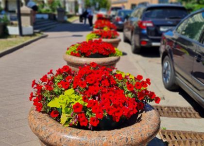 Правила благоустройства и содержания населенных пунктов. Что изменилось?   