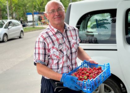 В Вилейке начали продавать «брестскую» клубнику. Узнали цену 