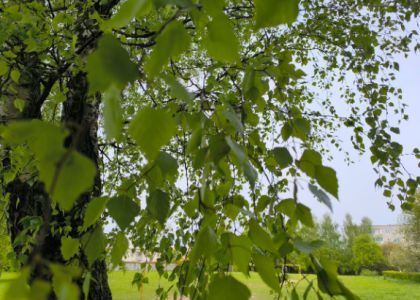 Тепло, но с дождями и грозами - неспокойная погода в выходные   