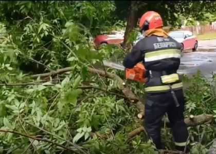 В Молодечно устранены последствия непогоды   