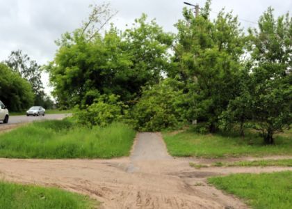 Пятые сутки лежат деревья, которые ураган уронил на пешеходно-велосипедную дорожку под Молодечно  