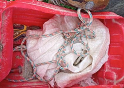 В Поставском районе пьяный мужчина убил собаку - возбуждено уголовное дело 
