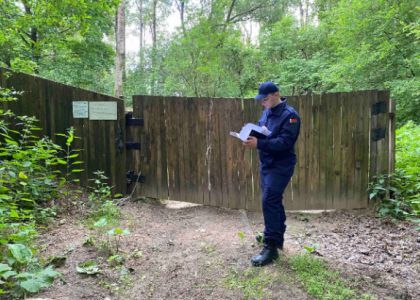 В Молодечненском районе прокуратура проверяет места захоронения умерших в сельхозорганизациях животных  