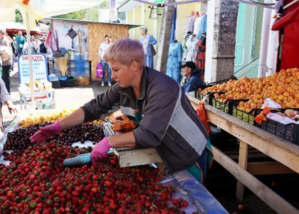 Клубника в Молодечно подорожала на 5-8 рублей по сравнению с прошлым годом. Что об этом думают покупатель-мужчина и покупатель-женщина? 
