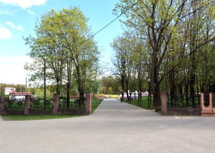 Дерево рухнуло на 67-летнюю женщину в молодечненском парке Победы 
