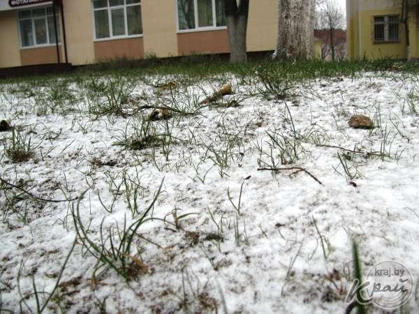 Первый снег и метель в Молодечно. 18 ноября. Фото kraj.by