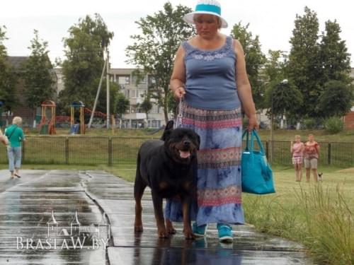 Изображение 12