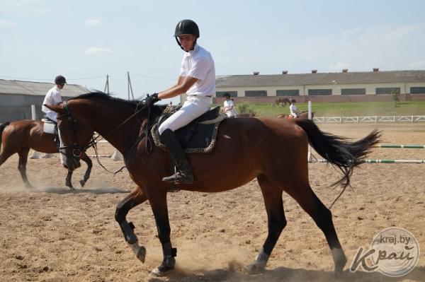 Республиканские соревнования по конному спорту среди юниоров начались в Полочанах Молодечненского района. Фото Михаила Бриля