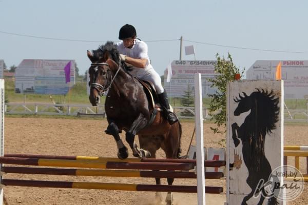 Республиканские соревнования по конному спорту среди юниоров начались в Полочанах Молодечненского района. Фото Михаила Бриля