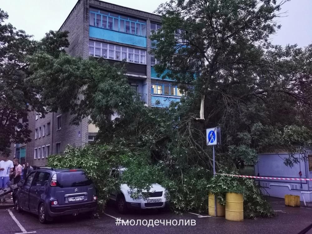 Изображение 2
